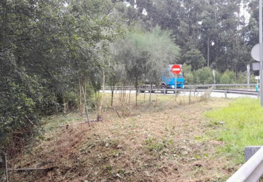 A Xunta iniciará esta semana novos traballos de limpeza nas marxes en 2 estradas autonómicas ao paso polos concellos de Brión, Noia, Muros e Cee